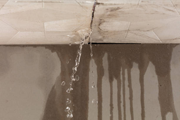 Professional Water Extraction technician working in Burton, TX